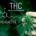 TCH cannabis